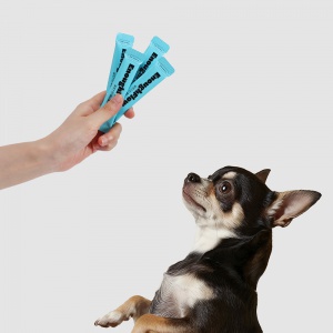 강아지 유산균 영양제 1BOX