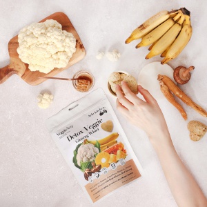 강아지 디톡스 화식 사료 SET