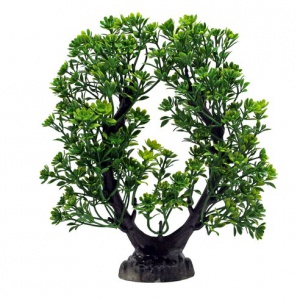 어항용 초록분재