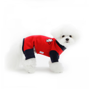 강아지옷 랜덤박스