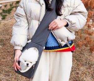 강아지 슬링백 소형