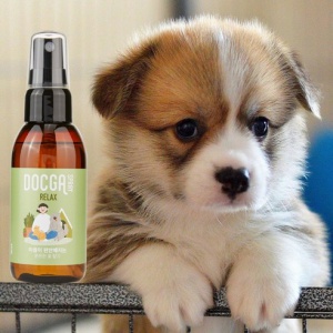 강아지 스프레이 60ml