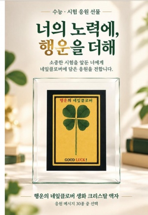 행운의 네잎클로버 SET