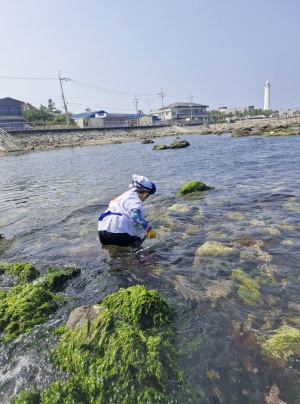 [생활] [경북 포항시] 호미곶 해녀체험