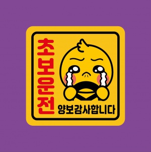 초보운전 자석스티커 SET