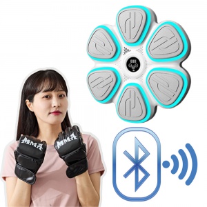 뮤직 복싱 샌드백 기계