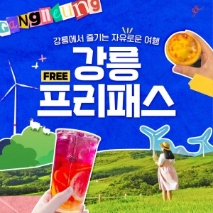 강릉프리패스 2매