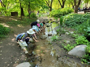 어린이 힐링 숲체험