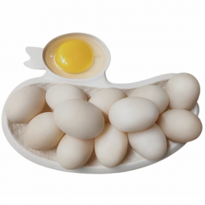 기러기 유정란 SET