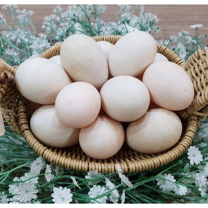 기러기알 유정란 SET