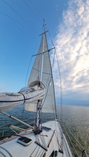 전곡항 요트투어