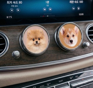 주문제작 차량 포토 방향제