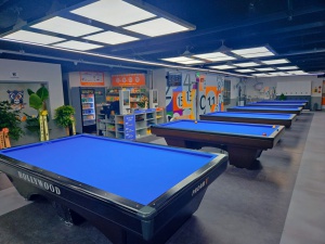 무인당구장 이용권