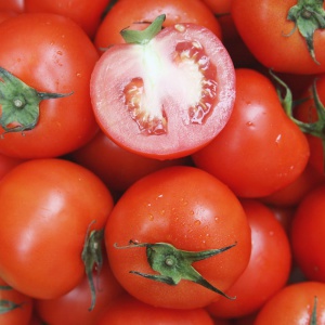 완숙 찰 토마토 3kg