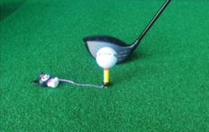 높이 조절 골프티 숏티