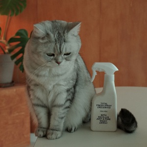 반려동물 탈취 스프레이 400ml