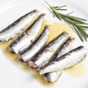 프리미엄 정어리 통조림