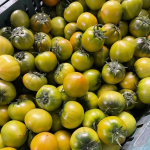 짭짤이토마토 2.5kg