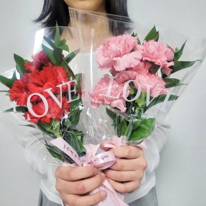 랜덤 카네이션 한다발