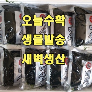 완도 햇 매생이 SET
