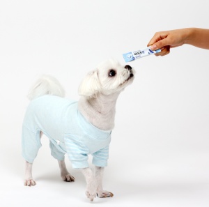 강아지 눈 영양제 1BOX