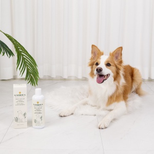 강아지 클렌징 샴푸 500ml