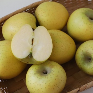 프리미엄 햇사과 2kg