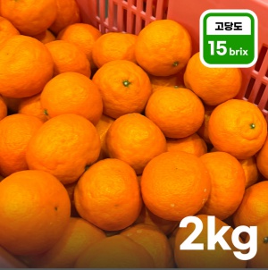 카라향 2kg
