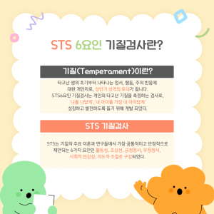 영유아 STS 6요인 기질검사