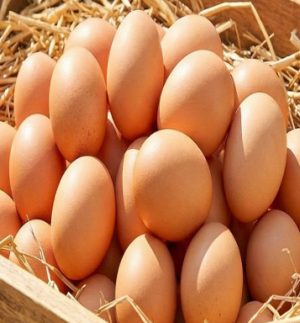 무항생제 대란 30구