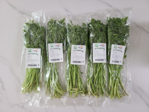 국산 세척 미나리 1kg