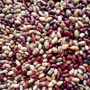 국산 혼합강낭콩 500g