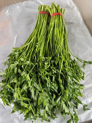 무농약 미나리 1kg