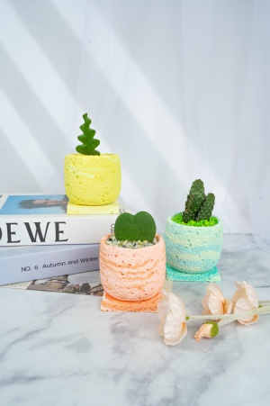 식물 화분 화병 만들기 원데이클래스