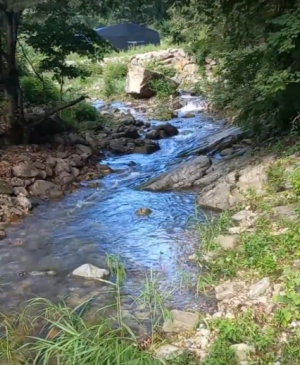 밀양숲 체험+손수건