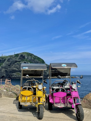 전기자전거 or 차 or 스쿠터 대여 종일권