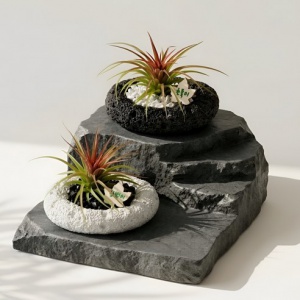 공기정화 반려식물