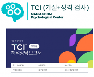 성인 TCI 기질, 성격 검사