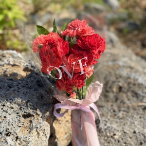 카네이션 한다발 꽃다발