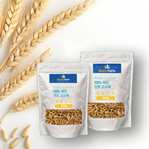 영양 건조곤충간식 100g