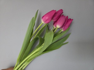 튤립 꽃다발