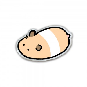 햄스터 스마트톡