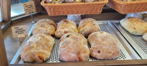 천연발효 치아바타