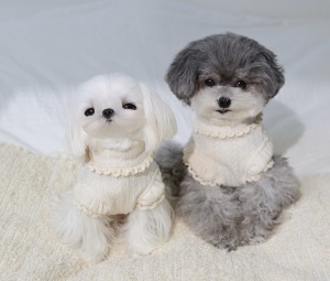 강아지 레이스 티셔츠