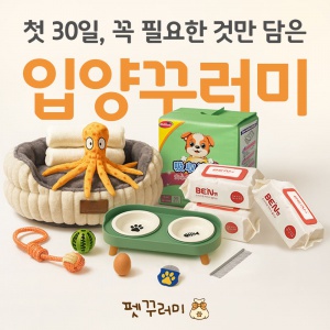 강아지 입양꾸러미