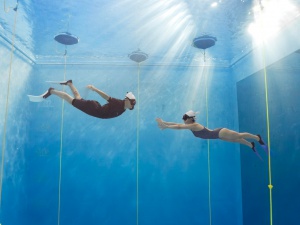 다이빙 원데이클래스