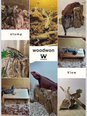 파충류 원목 은신처