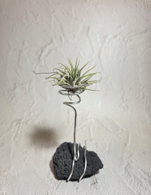 에어플랜트 화산석 거치대