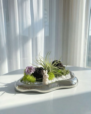 테라리움 DIY 키트