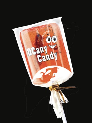 식용곤충 캔디 SET